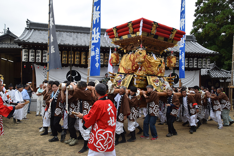 images